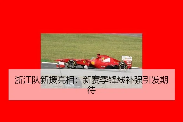 浙江队新援亮相：新赛季锋线补强引发期待